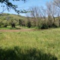 Sveta Petka: Kanalizacija se izliva pored bunara za vodu