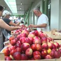Mirisno i raznovrsno voće najbrže odlazi sa tezgi