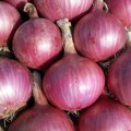 Ko treba da jede crveni luk? Ako se lečite od ove bolesti, bilo bi poželjno da ga ubacite u ishranu