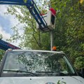 Bez isključenja električne energije danas u Kragujevcu