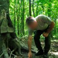 Kilogram pečuraka košta skoro kao pet kilograma svinjskog vrata! Ovaj trik morate znati: Evo kako ih je najlakše naći u šumi…