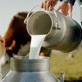 Počeo novi krug isplate premija za mleko - evo do kada se podnose zahtevi