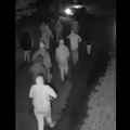 (Video) Više od 30 naoružanih ljudi hodalo kroz selo, a onda su počeli da pucaju. Policija naredila meštanima da ne izlaze iz…