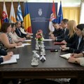 Ministar Đurić ambasadorima EU: Hapšenje Popovića politički progon i ugrožavanje slobode govora