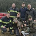 Spasili srnu zarobljenu u ledu na jezeru u Nacionalnom parku Durmitor