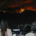 Požar na severoistoku Japana ugašen posle 38 dana