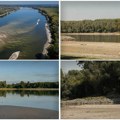 Do Hrvatske se gotovo može peške: MONDO obišao Dunav kod Bezdana, meštani ne pamte ovako dramatičnu situaciju