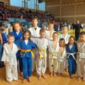 Uspešan nastup najmlađih Judoka Sirmiuma na Međunarodnom Turniru