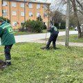 (Foto) Uređuje se Bačka lepotica: Nova stabla i sadnice širom Sombora – „Zelenilo“ nastavlja akciju sadnje