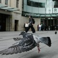 Šta se dešava u britanskom javnom servisu? BBC ukida do 2.000 radnih mesta, najviše u informativnom programu