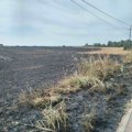 Kazne za paljenje strnjike do milion dinara: U Zasavici II najavljene kamere zbog divlje deponije