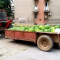 Izabrano 25 lokacija: U Požarevcu i Kostolcu određena mesta za prodaju lubenica