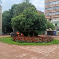 Uređenje javnih površina po redovnoj dinamici