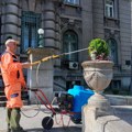 Redovno košenje parkovskih i gradskih lokacija