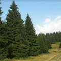 Od zagađivača do korisnika - Detaljan vodič kroz ekološke naknade za privredu