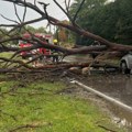 Drvo palo na auto u Smederevu: Put blokiran, vatrogasci jure u pomoć