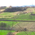 Budžetska davanja poljoprivredi skoro duplirana