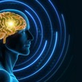 Шта каже ново истраживање? Људи су способни за мултитаскинг, али је потребна…