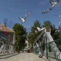 Gondolom po Timoku – da li je Knjaževac Mala Venecija ili Mali Pariz