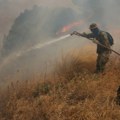 Grčka strahuje od novih požara zbog visokih temperatura i jakih vetrova