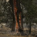 Požar je u potpunosti van kontrole; Naređena evakuacija skoro 90.000 stanovnika; Škole zatvorene FOTO/VIDEO