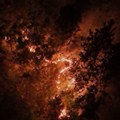 I dalje gori u ataru sela Osmakovo na Staroj planini, gašenje otežava jak vetar