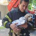 Prizor nakon požara u Carigradskoj tera suze na oči: Vatrogasci spasili kuče iz vatre, slika govori više od 1.000 reči…