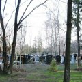 Pljačkaši grobnica u Obrenovcu: Oskrnavljena 42 groba, policija traga za počiniocima