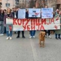 U Severnoj Mitrovici održan studentski protest: "Svi smo pod nadstrešnicom"