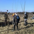 Nova akcija ljubitelja prirode i šajkaša Sadnja drveća za zdraviju budućnost korak u borbi protiv klimatskih promena