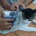 VIDEO: "Narkomačka" uhvaćena u zatvoru u Kostariki, na sebi imala paketiće s drogom