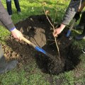 Potpisani ugovori za pošumljavanje u 28 gradova i opština: Sremska Mitrovica dobija sredstva za zelenu transformaciju