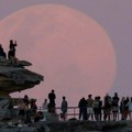 U fotografijama: Mesec dabra obasjao svet
