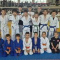 KUP Srebrno jezero: Džudistima Bora 11 medalja u Velikom Gradištu