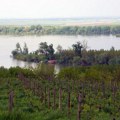 Nekad je ovaj deo Beograda važio za tešku periferiju: Ogroman skok cene kvadrata, pogled se dodatno plaća