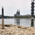 Moćna reka postala potok: Rajna na najnižem vodostaju od početka merenja 1880. godine