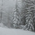 U Zlatiborskom okrugu počeo da pada sneg