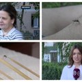 Najezda komaraca u Srbiji: Kako da se zaštitimo?