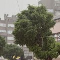 Potpuni haos u novom pazaru, Oluja se obrušila na grad: Jak vetar obarao drveće, tragedija izbegnuta pukom srećom (foto)