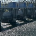 (Foto): Ova vrsta životinje pojavila se u Zapadnoj Moravi: Čačani ne veruju šta vide, ali to može da znači samo jedno