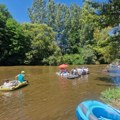 Grdelička regata okupila više od 200 učesnika