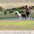 Dunav u Srbiji u blagom porastu, u Hrvatskoj jedna reka na četiri centimetra