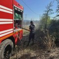 Vatrogasci se bore sa požarima i u Kladovu, u delovima opštine vanredna situacija