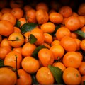 Mandarine kao svakodnevna užina: koji su dokazi za zdravlje organizma