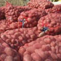 U čačanski kraj ga doneli kaluđeri: Guča je prestonica krompira
