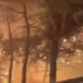 Nastavlja se borba za tasos Vatrogasci i dobrovoljci na ivici snaga maslinjaci i šume u pepelu; Avioni i helikopteri stigli na…