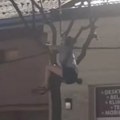 Kraj filmske drame u Šapcu: Pogledajte kako je jedno mače uspelo da ujedini čitav grad