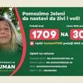 Apel za pomoć Novosađanki Jeleni Dobromirov