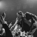 Veliki Nick Cave & The Bad Seeds 7. avgusta 2026. na Kalemegdanu