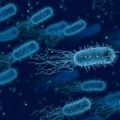 U ledu otkriven soj bakterija otporan na antibiotike, star 5.000 godina